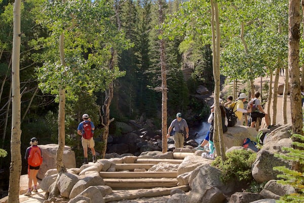 Estes Park que incluye bosques y senderismo o caminata y también un pequeño grupo de personas