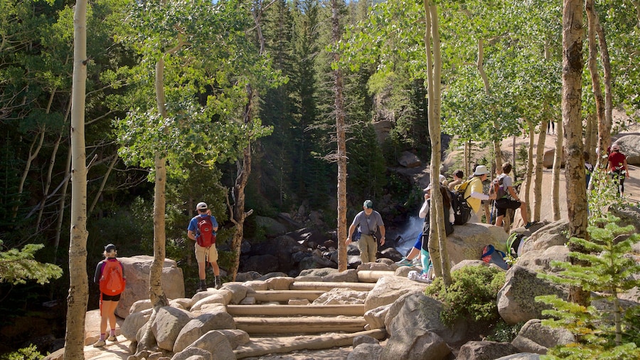 Estes Park cho thấy đi bộ và rừng rậm cũng như nhóm nhỏ