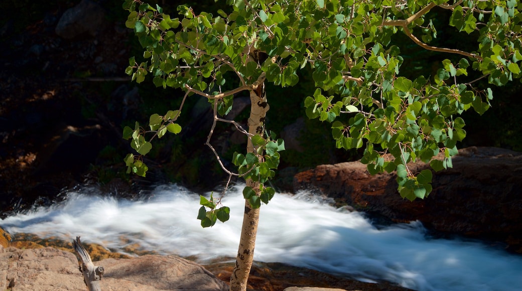 Estes Park showing rapids