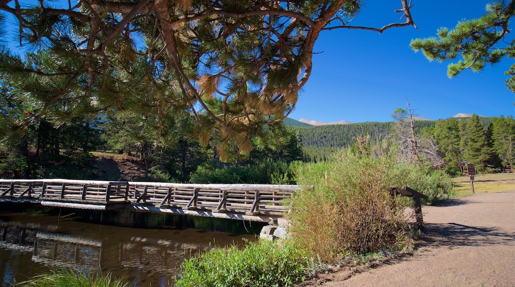 Estes Park som visar en å eller flod, stillsam natur och en bro