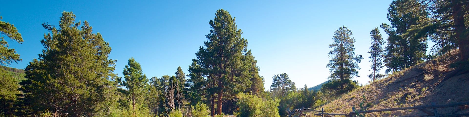 Sprague Lake mostrando un lago o abrevadero