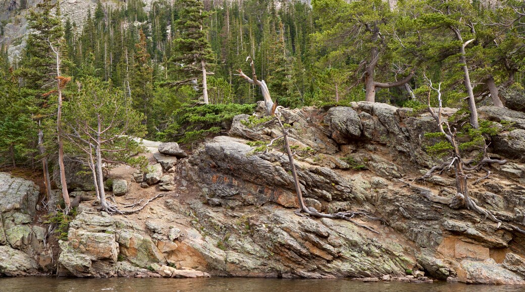 Estes Park showing a lake or waterhole and forests