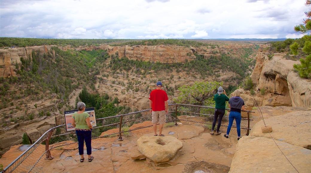 Cliff Canyon