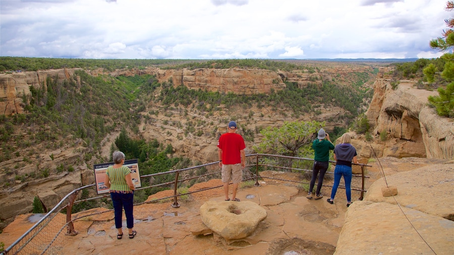 Cliff Canyon