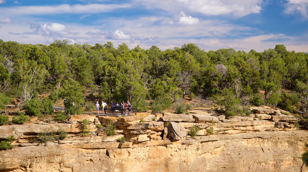 Trail of the Ancients showing views and tranquil scenes as well as a small group of people