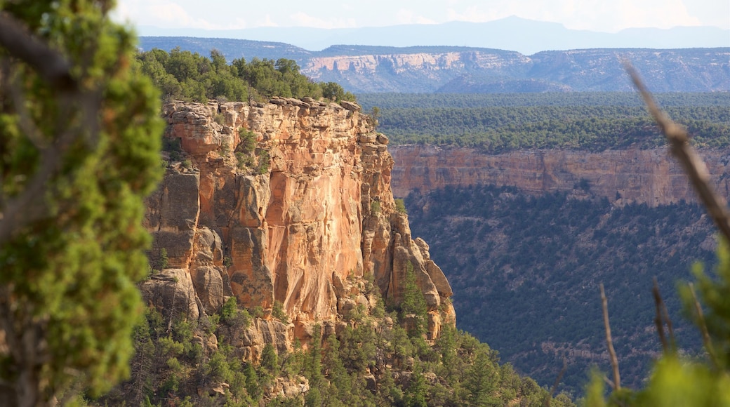 Mesa Verde nationalpark som visar stillsam natur, en ravin eller kanjon och landskap