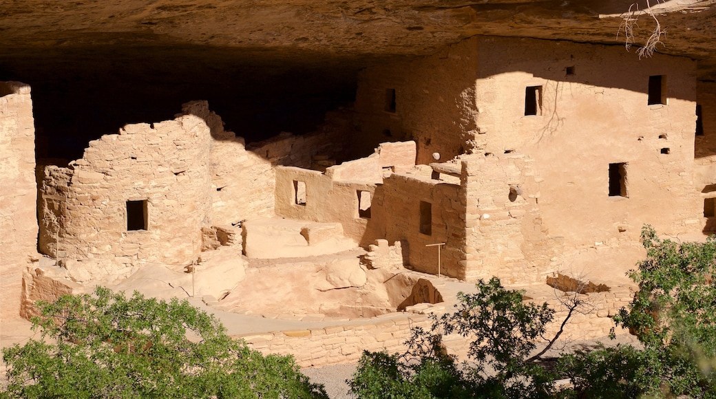 Parque Nacional de Mesa Verde que inclui uma ruĂna e elementos de patrimĂŽnio