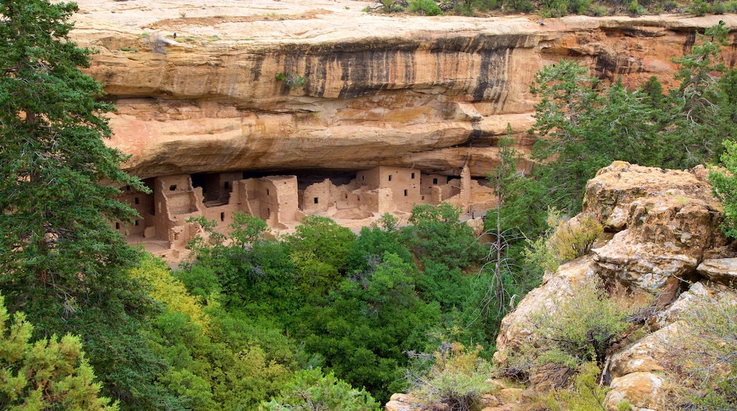 Parque Nacional Mesa Verde ofreciendo una ruina, elementos patrimoniales y una garganta o cañón