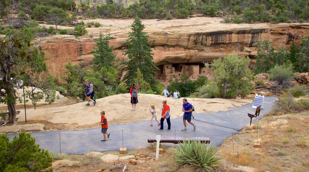 Parque Nacional Mesa Verde ofreciendo una garganta o cañón y también un pequeño grupo de personas