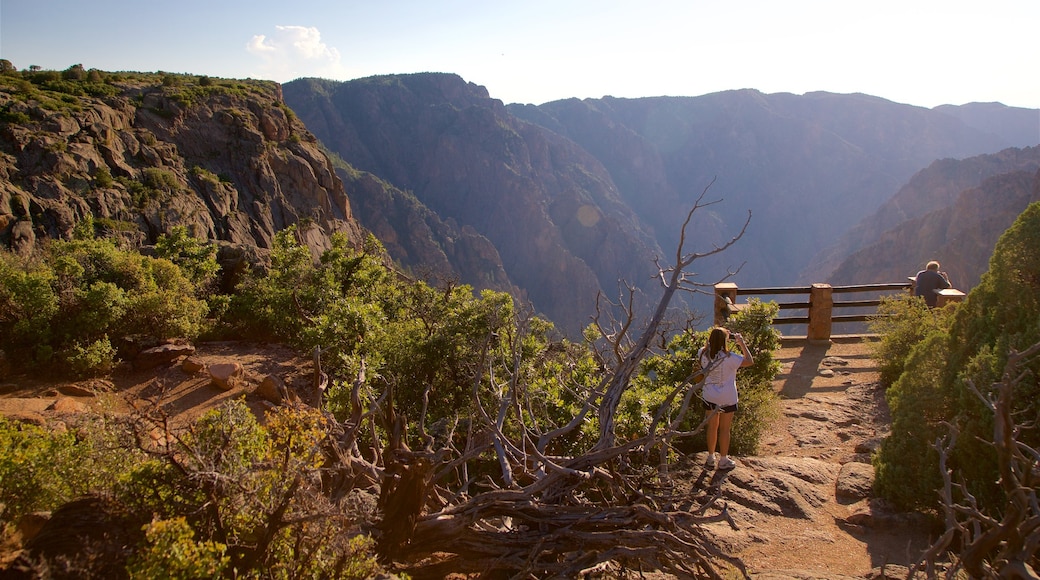 Montrose featuring landscape views, views and a gorge or canyon