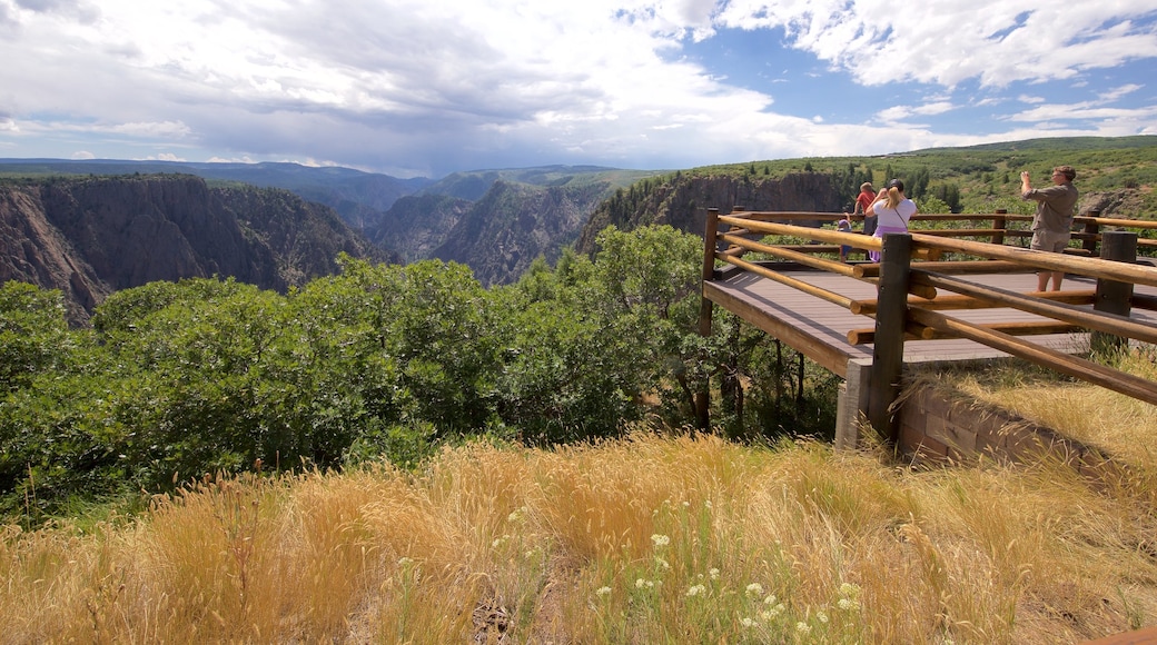 Montrose que incluye vistas y un barranco o cañón y también una familia