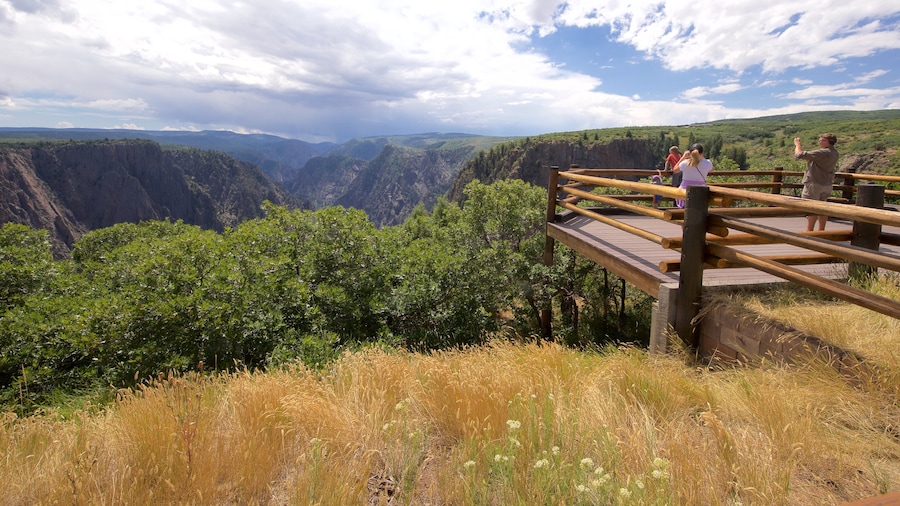 Montrose featuring a gorge or canyon and views as well as a family