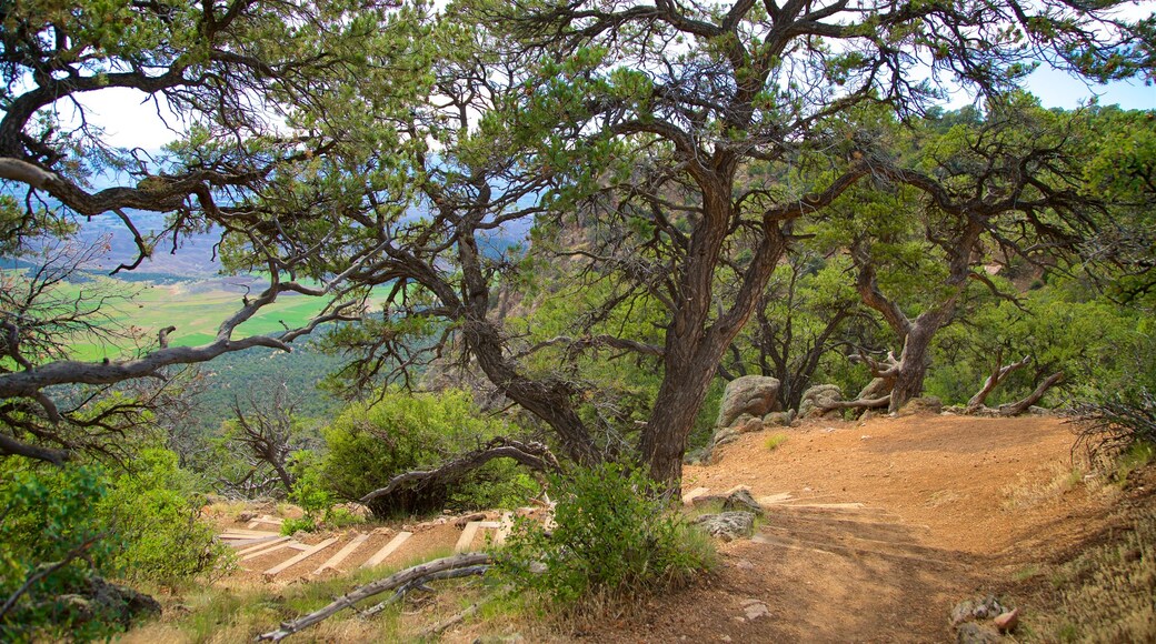 Warner Point Nature Trail which includes tranquil scenes