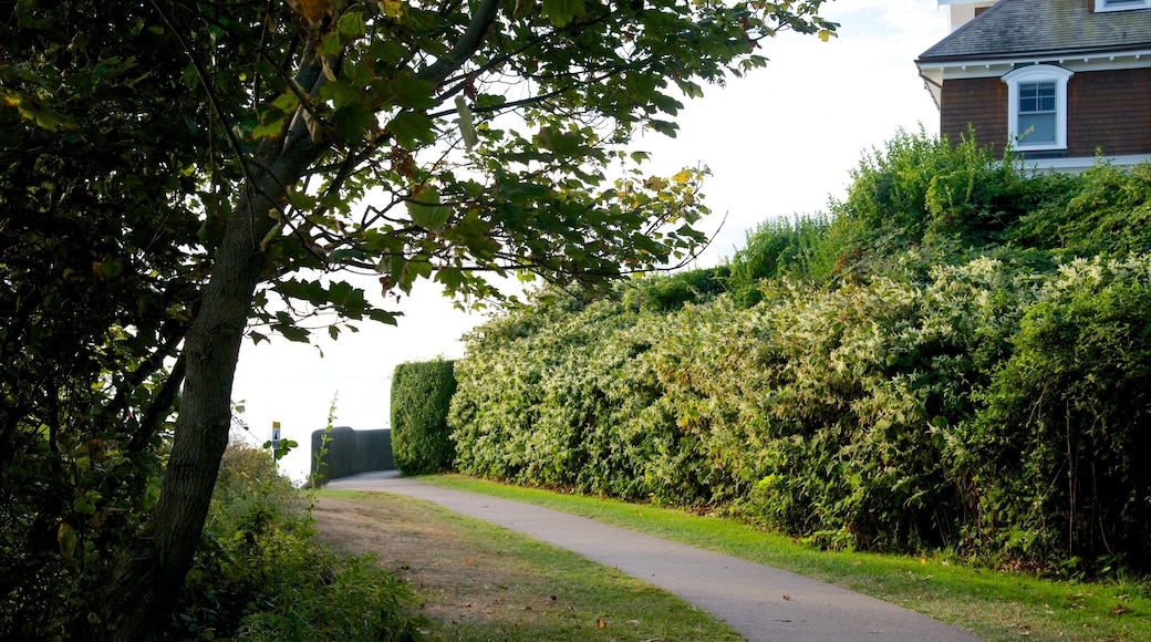 Cliff Walk showing a garden