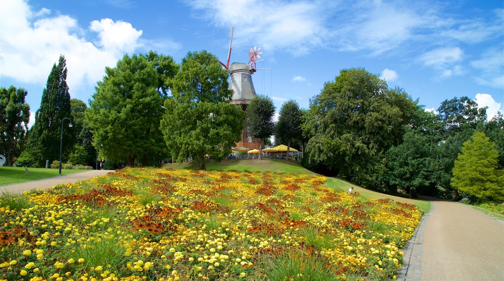 Am Wall featuring a park and wildflowers