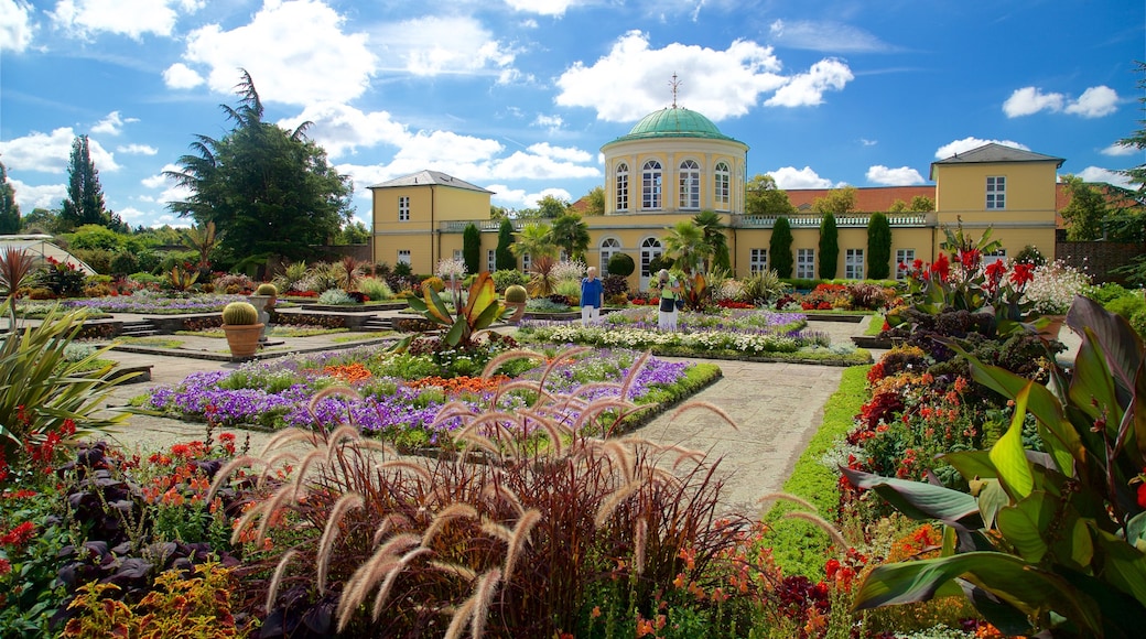 Berggarten presenterar en park och blommor