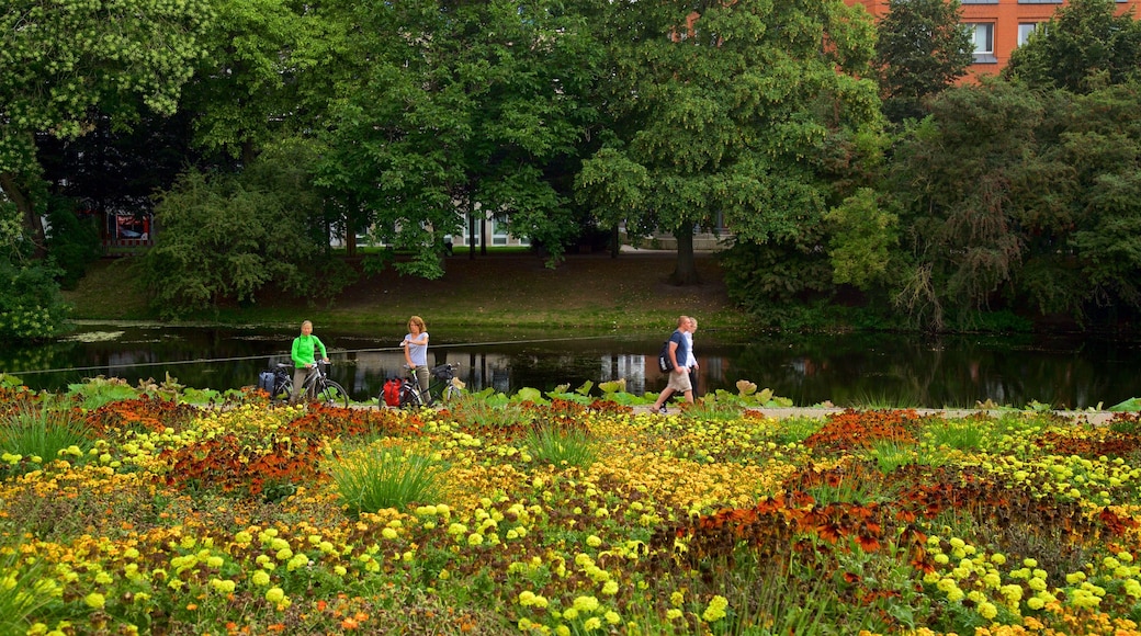 Am Wall featuring wild flowers, a lake or waterhole and a park