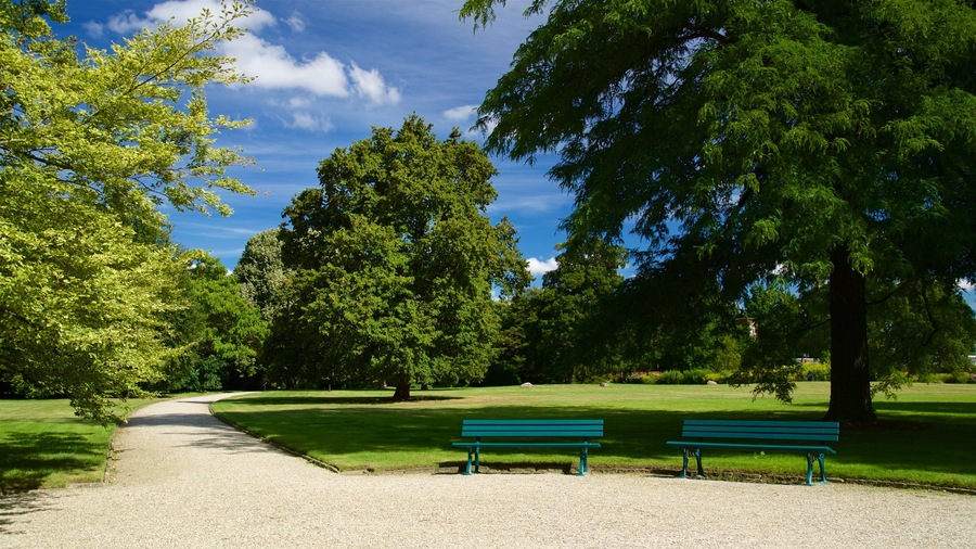 Hannover featuring a garden