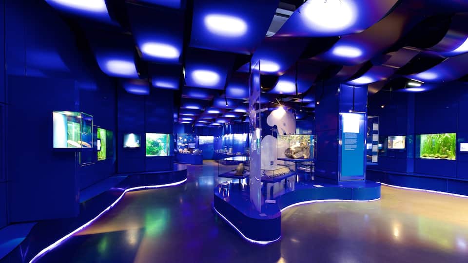 Lower Saxony State Museum which includes interior views