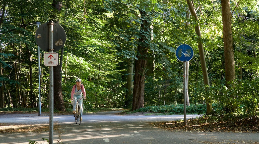 Eilenriede featuring a garden and cycling