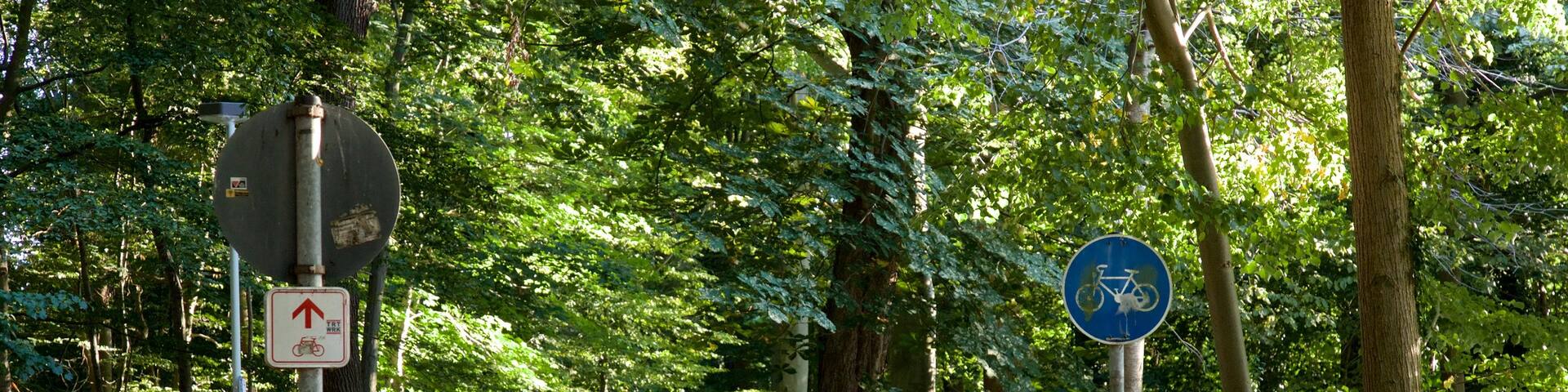 Eilenriede featuring a garden and cycling