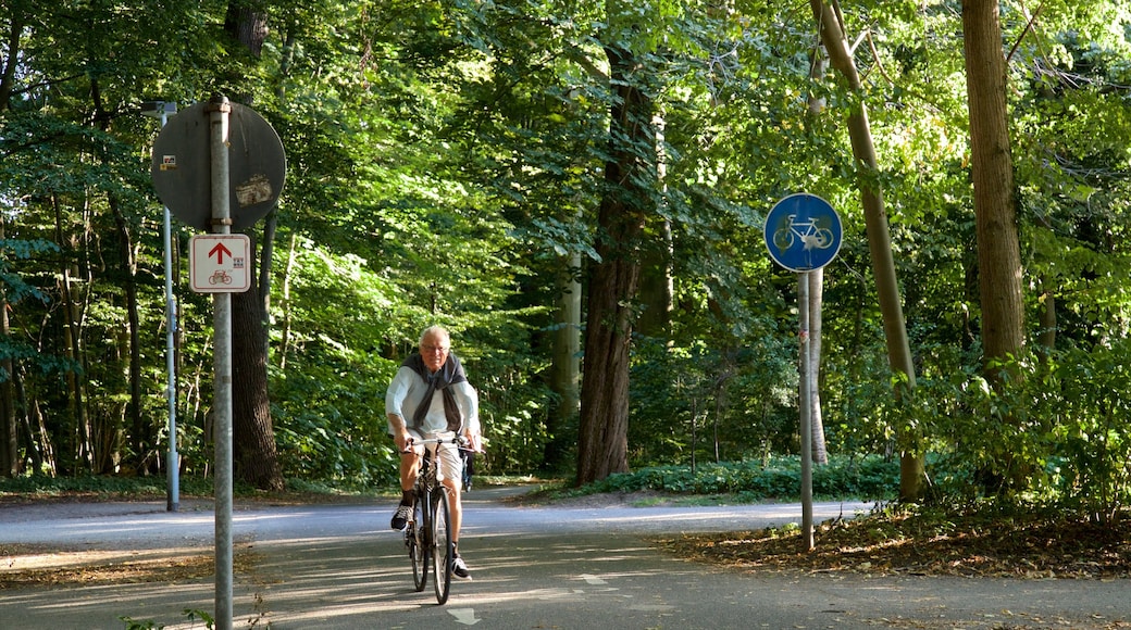 Eilenriede showing cycling and a park