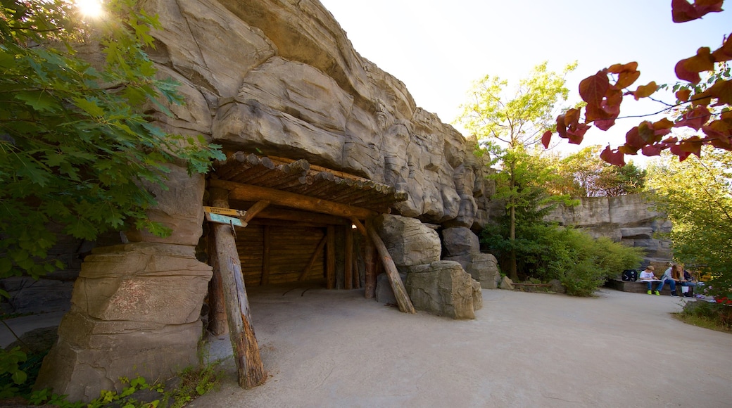 Hannover Zoo featuring zoo animals