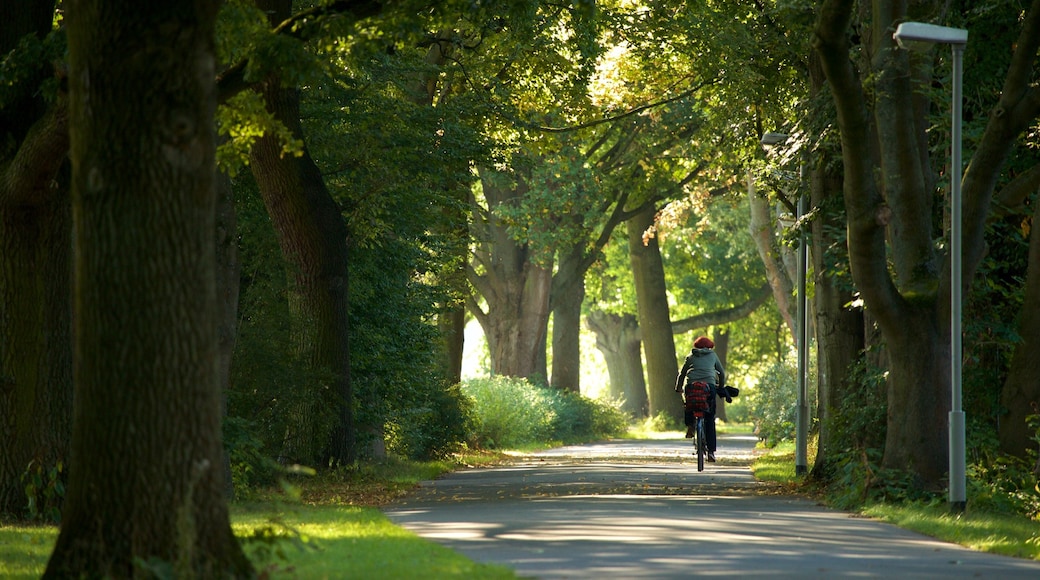 Maschsee showing cycling and a park