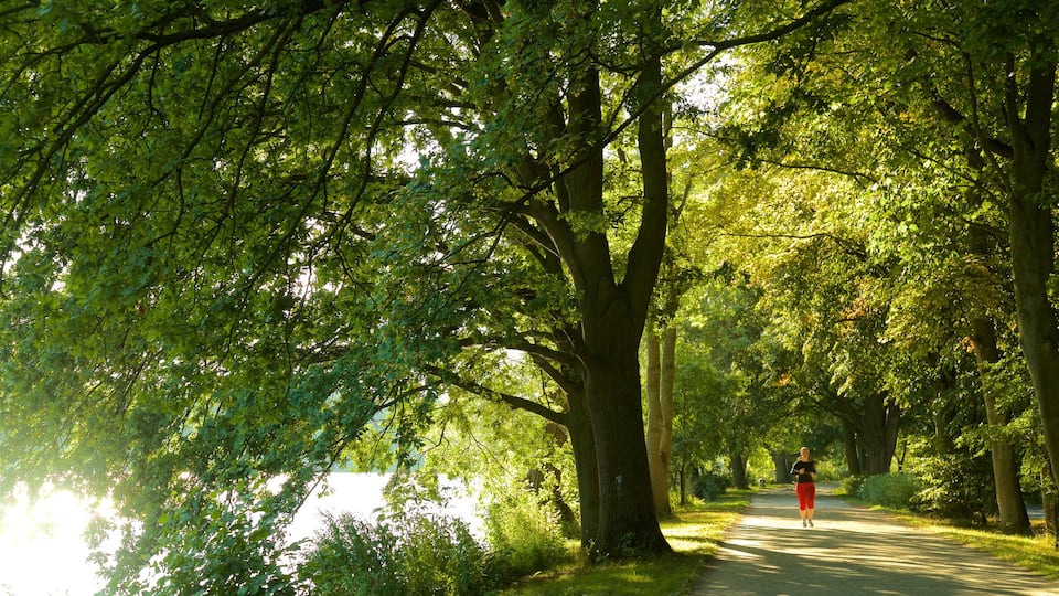 Maschsee showing a park and hiking or walking as well as an individual female