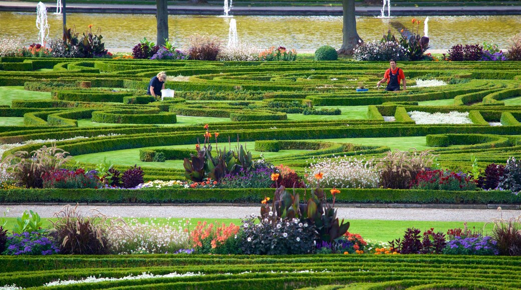 Jardines de Herrenhausen ofreciendo un parque y flores salvajes