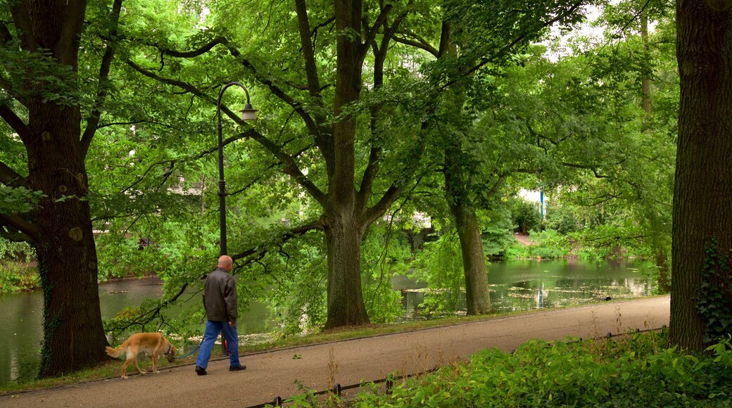 Am Wall welches beinhaltet Garten und See oder Wasserstelle sowie einzelner Mann