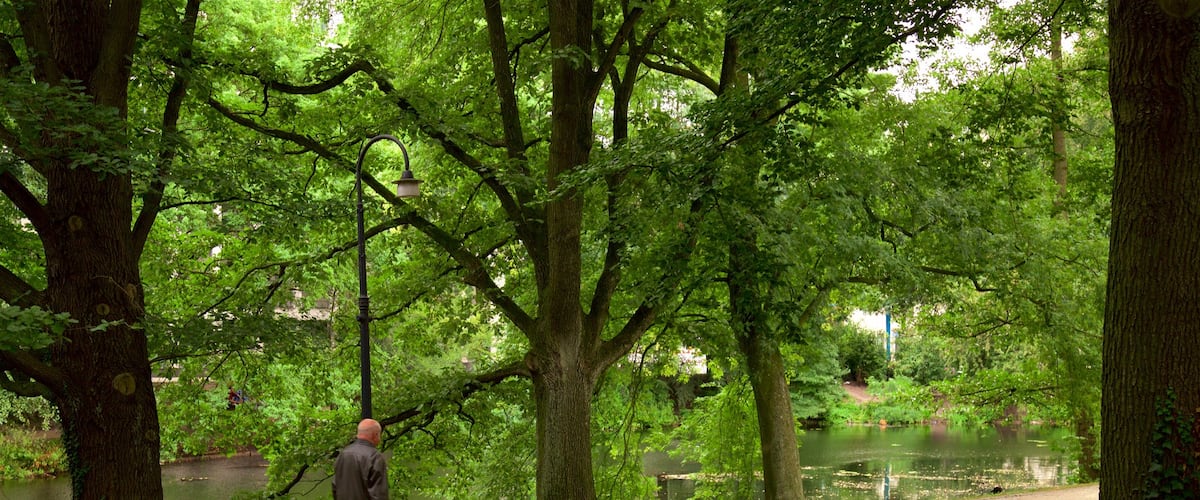 Am Wall showing a lake or waterhole and a park as well as an individual male