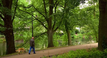 Am Wall welches beinhaltet Garten und See oder Wasserstelle sowie einzelner Mann