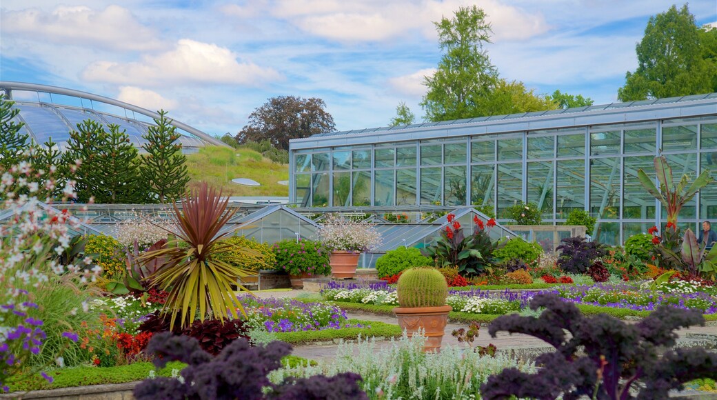 Berggarten og byder på vilde blomster og en have