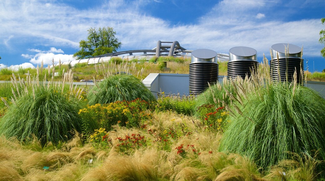 Berggarten som omfatter en have og vilde blomster