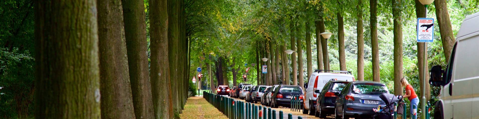 Bremen Buergerpark which includes a park