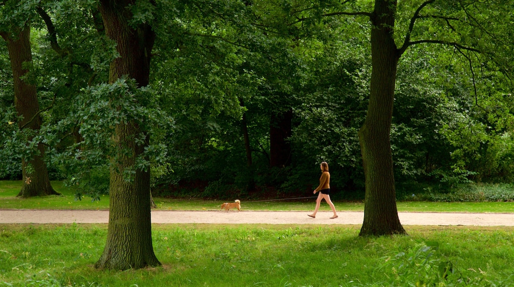 Bremen Bürgerpark som viser en have såvel som en kvinde