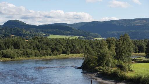 Stjørdal som visar en å eller flod, stillsam natur och landskap