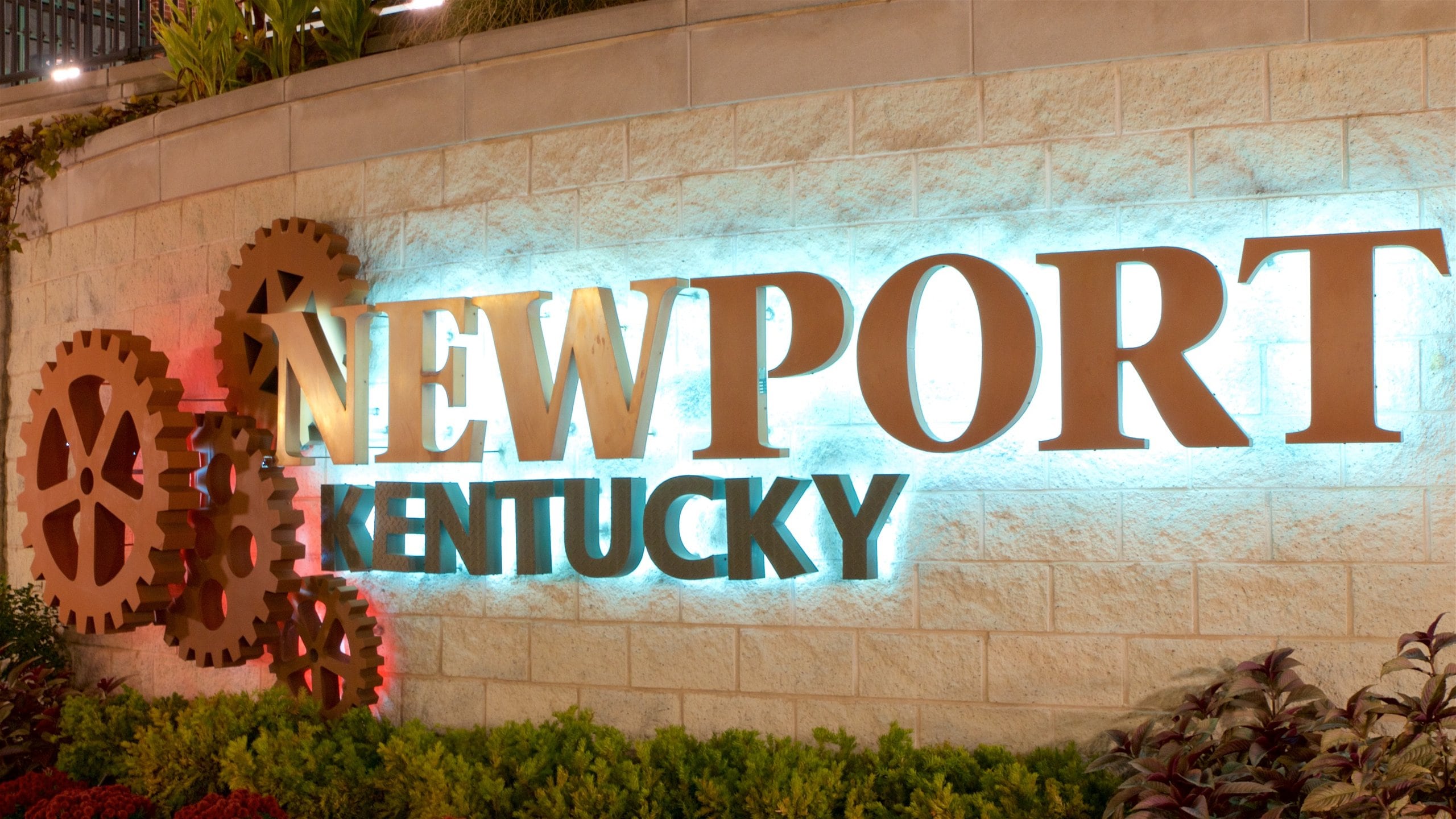 Newport showing night scenes and signage