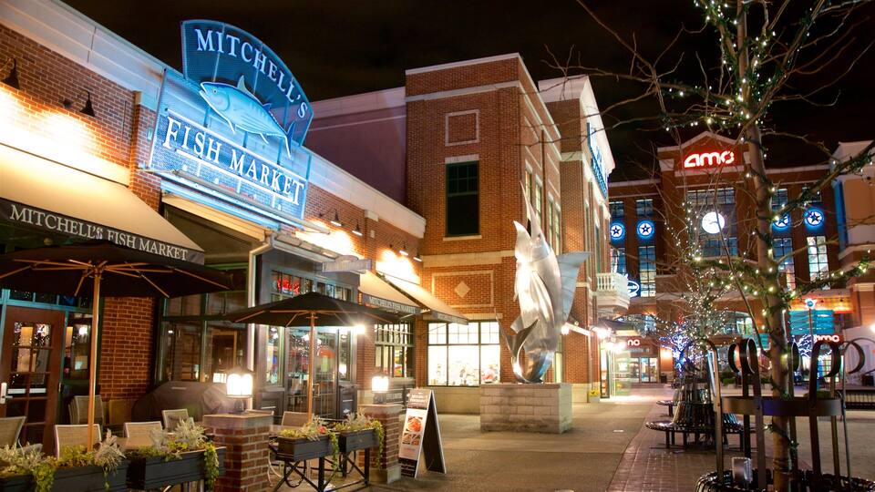 Newport which includes night scenes and signage