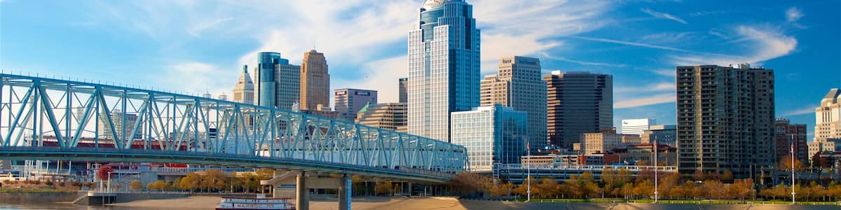 Newport qui includes rivière ou ruisseau, pont et ville