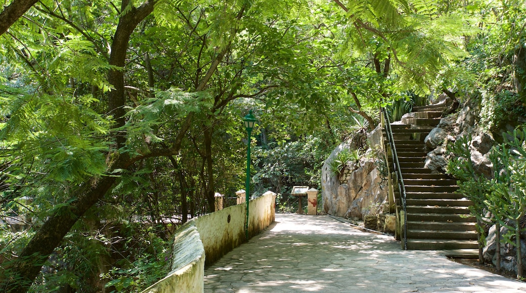 Taxco which includes a park