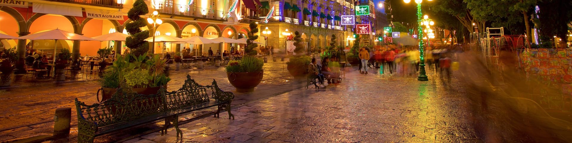 Zócalo de Puebla which includes night scenes