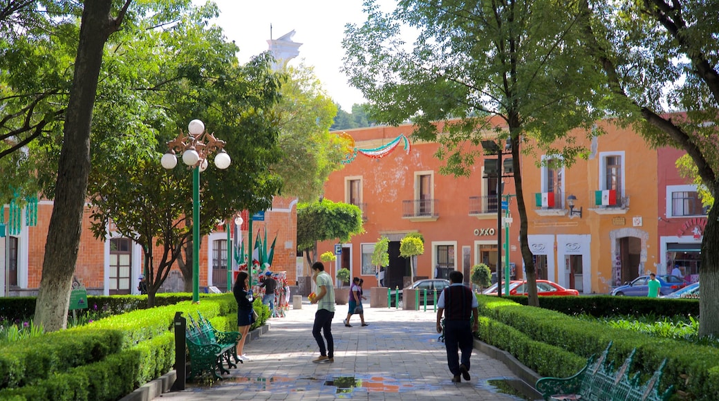 Tlaxcala showing a garden