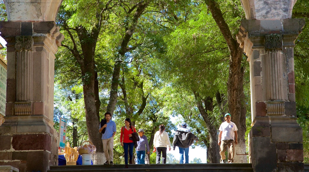 Tlaxcala welches beinhaltet Park sowie kleine Menschengruppe