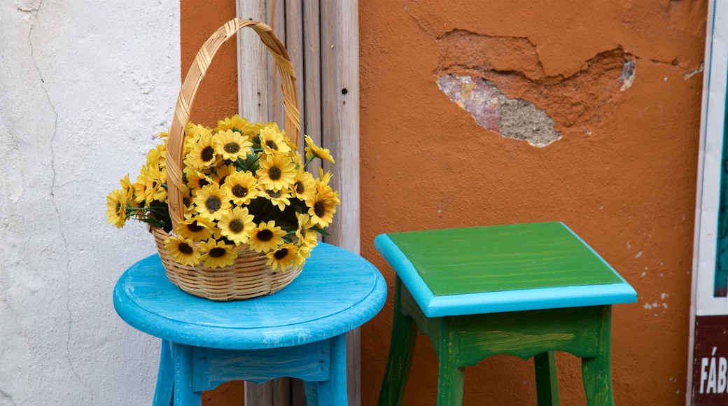 Los Sapos Bazaar showing flowers