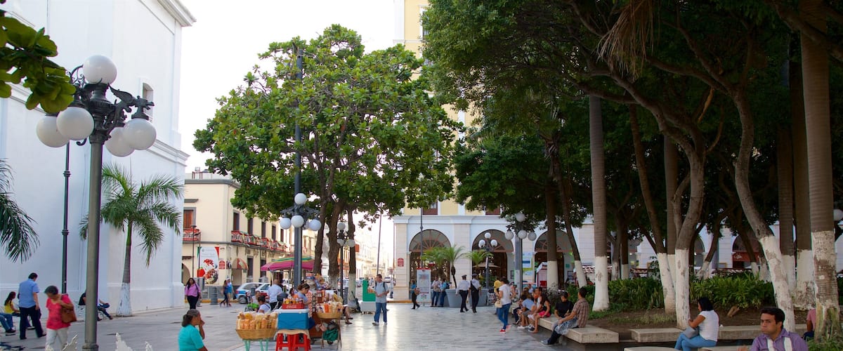 Veracruz featuring a square or plaza