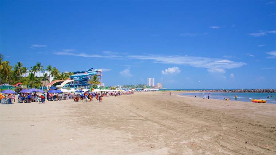 Mocambo Beach which includes a beach as well as a large group of people