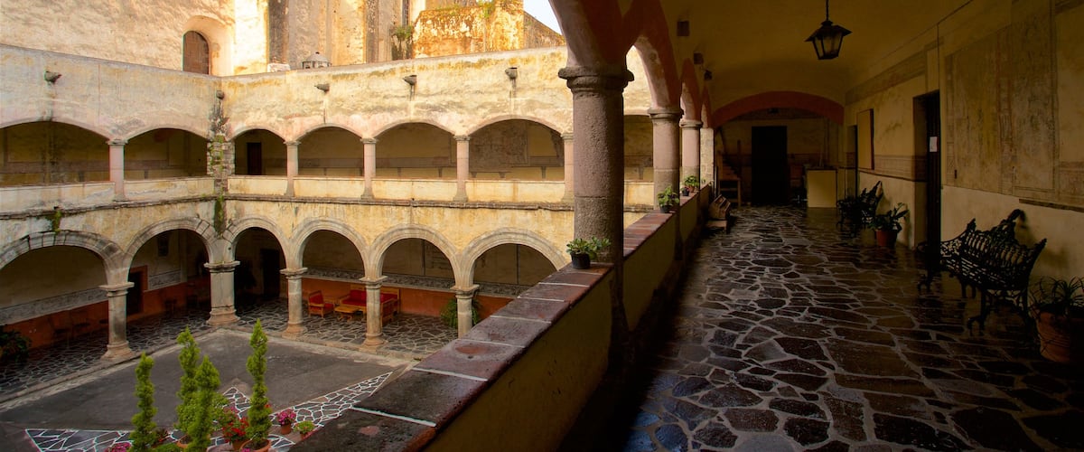 Catedral de Cuernavaca ofreciendo elementos del patrimonio y flores