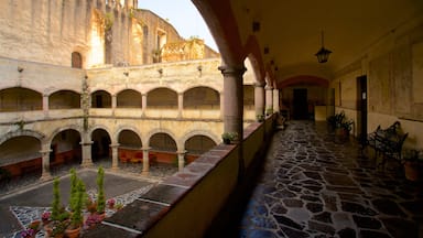 Cuernavaca Cathedral featuring flowers and heritage elements